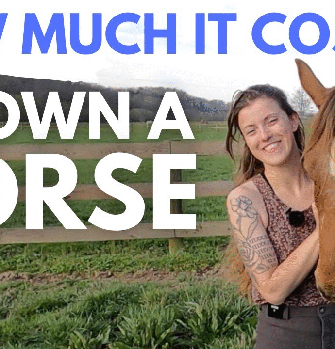 How Much Does It Cost to Board a Horse? A Complete Guide